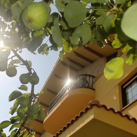 Posada Las Garzas Santoña Extérieur photo